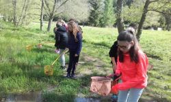 Classe Decouverte   063